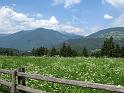Tirol (48)